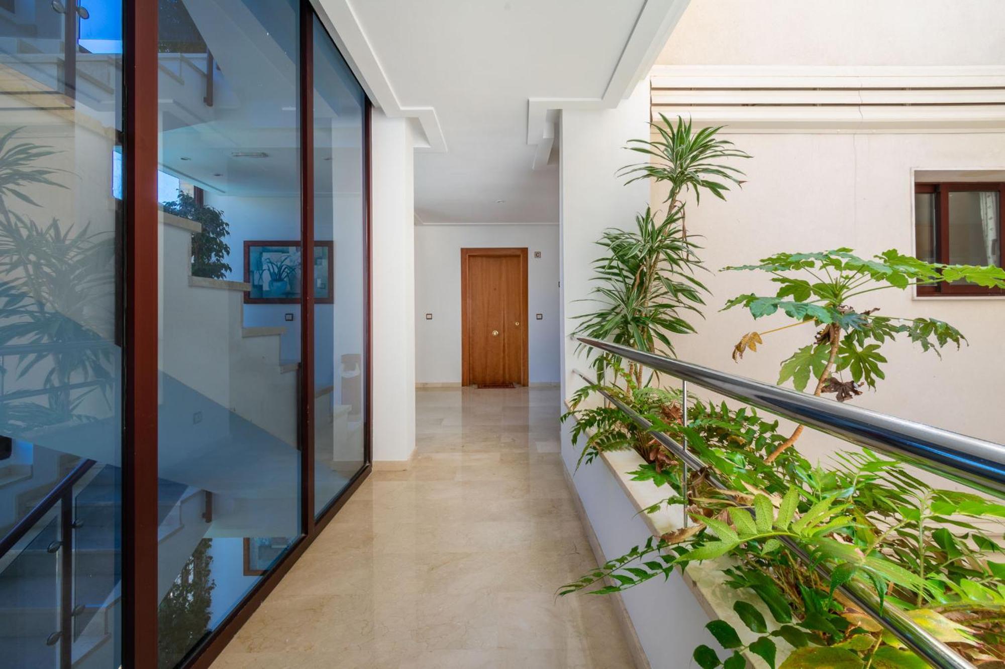 Apartamentos Albir Confort - Avenida 1 Dorm El Albir Eksteriør billede
